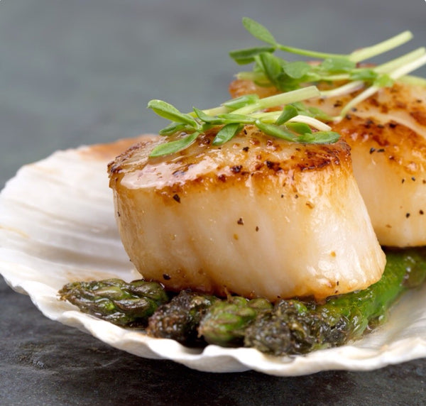 Diver Scallops Ideal Meat & Seafood